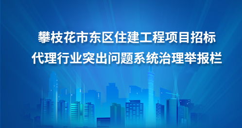攀枝花市東區人民政府
