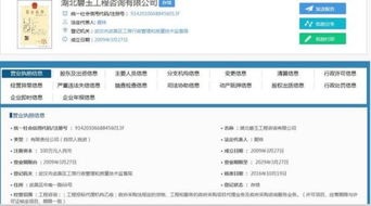 湖北碧玉招標代理公司的法人是誰